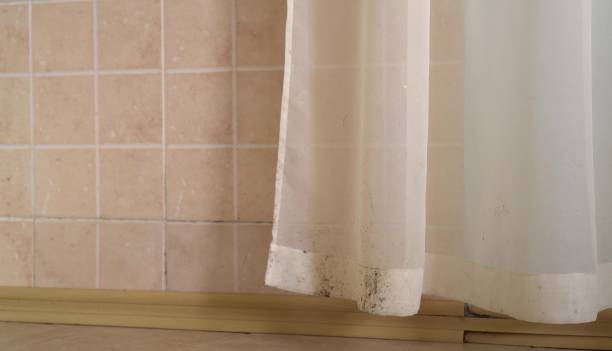 Best Emergency Mold Remediation  in Hayesville, OR