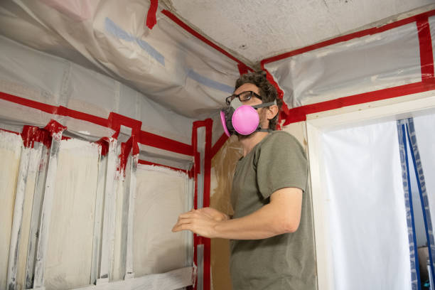 Best Mold Damage Restoration  in Hayesville, OR
