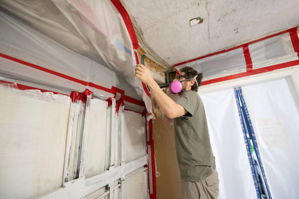 Best Mold Removal for HVAC Installations  in Hayesville, OR