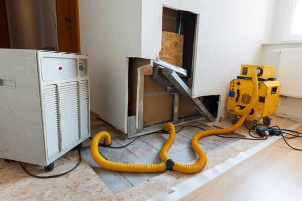 Best Attic Mold Removal  in Hayesville, OR