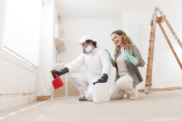 Reliable Hayesville, OR Mold Removal Solutions