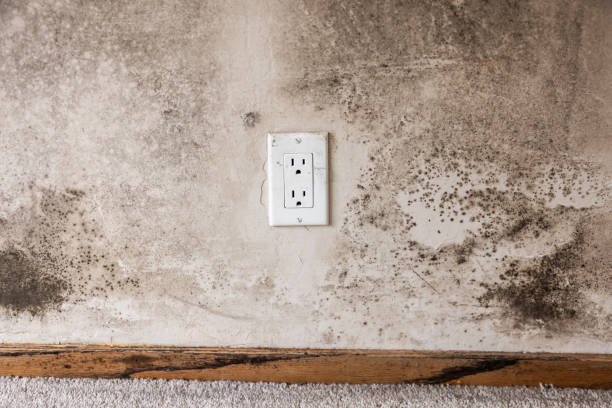 Best Indoor Air Quality Assessment  in Hayesville, OR
